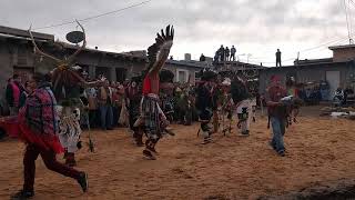 Hopi mixed animal dance 2019 [upl. by Airbmak677]