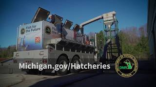 Michigan DNR Fish Hatcheries [upl. by Llehsram]