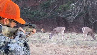 MULTIPLE DEER DOWN Firearms Hunting Season [upl. by Valerie]