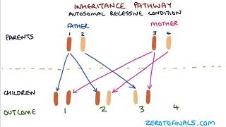 Understanding Autosomal Dominant and Autosomal Recessive Inheritance [upl. by Vatsug]