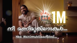 Nee Manimukilaadakal  Play Loop  Vidhu Prathap [upl. by Nashner]