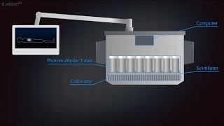 Gamma Camera Animation [upl. by Dasya]