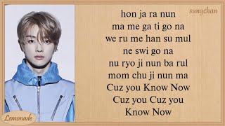 NCT U  Know Now Easy Lyrics [upl. by Aseiram256]