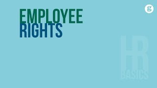 HR Basics Employee Rights [upl. by Atterol424]