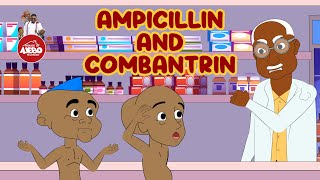 Ampicillin and Combantrin [upl. by Eilram]