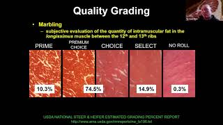 Beef Carcass Quality amp Grading with Ty Lawrence [upl. by Klaus338]