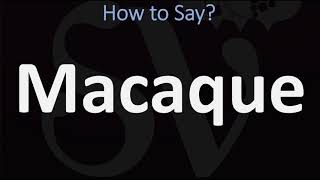 How to Pronounce Macaque CORRECTLY [upl. by Imar]