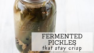 Fermented Dill Pickles Recipe  LACTO FERMENTED PICKLES  Bumblebee Apothecary [upl. by Sisile]