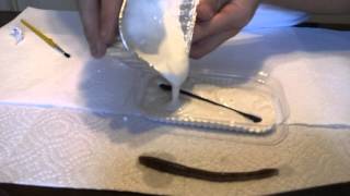 How To Make A Mold With Plaster Of Paris [upl. by Jose113]