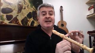 Cours de Flute 1 [upl. by Kalman]