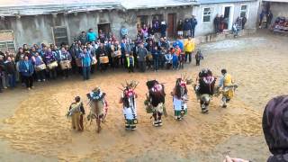 Hopi Buffalos 2016 [upl. by Alakam63]