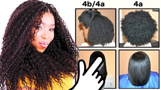 Natural Hair Types EXPLAINED In Detail w PICTURES 4C 4B amp 4A HAIR CHART [upl. by Enelad285]