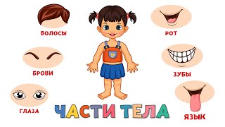 Учим части тела для детей Развивающие мультики для малышей [upl. by Stratton]