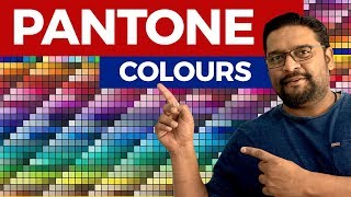 Learn What is Pantone Colour Graphic Design [upl. by Anelaf]