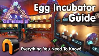 ARK Egg Incubator Guide And How To Use It ARK [upl. by Anes]