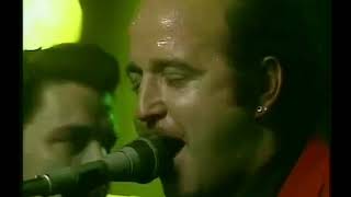 The Fabulous Thunderbirds  Live from London 1985 [upl. by Sellma]