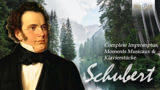 Schubert Complete Impromptus Moments Musicaux amp Klavierstücke [upl. by Mann]