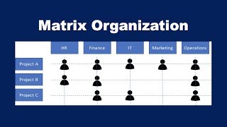 What is a Matrix Organization [upl. by Akihsan]