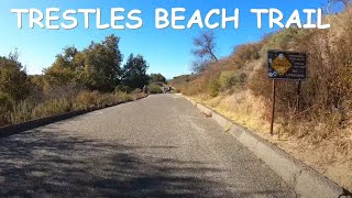 Trestles Beach Trail Beach and Bluffs  4K [upl. by Wilmer451]