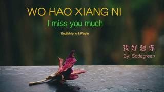 Wo Hao Xiang Ni lyric I Miss You Much  Pinyin amp English  Learn Chinese by songs [upl. by Eiba]