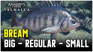 Assassins Creed Valhalla  Bream Fish Locations Big  Regular  Small [upl. by Gayn]