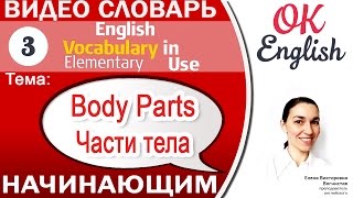 Тема 3 Parts of the Body  Части тела на английском📕 Английский видео словарь для начинающих [upl. by Eiznikam]