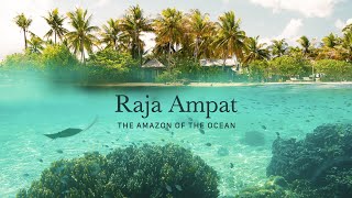 Raja Ampat  The Amazon of the Ocean [upl. by Meryl]