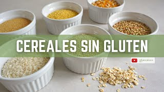 💡 CEREALES SIN GLUTEN  ¿Cómo sustituir el trigo en la dieta [upl. by Lerner]