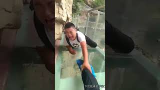 Fear of Heights Chinese people afraid of a glass bridge Very Funny [upl. by Matthew101]