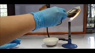 TUPM Dept of Chemistry Virtual Lab  Bunsen Burner [upl. by Hsemar]