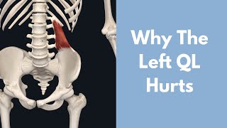 Why Does Your Left Quadratus Lumborum Hurt [upl. by Osugi362]