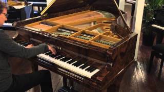 Chopin fantaisie op49  Bechstein grand piano [upl. by Jobe]