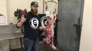 How to DryAge a Deer Carcass by The Bearded Butchers [upl. by Lenahc29]