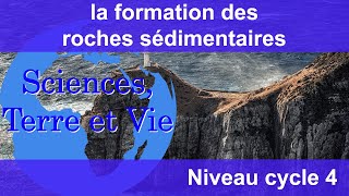 la formation des roches sédimentaires [upl. by Cloots]