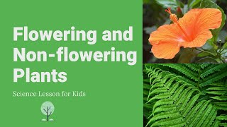 Flowering and Nonflowering Plants  Differences Examples and Reproduction  Science Lesson [upl. by Ahsakal]