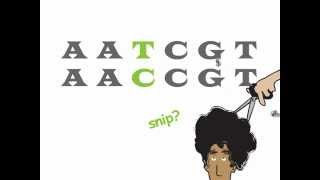 Genetics 101 Part 2 of 5 What are SNPs [upl. by Arenahs]