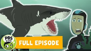 Wild Kratts FULL EPISODE  Stuck on Sharks  PBS KIDS [upl. by Lehmann]