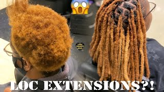 Loc Extension Tutorial Crochet Method [upl. by Thurnau]