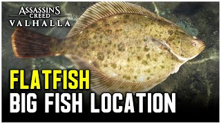 Assassins Creed Valhalla  Big Flatfish Location [upl. by Hulbig]