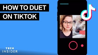 How To Duet On TikTok [upl. by Xuaegram]