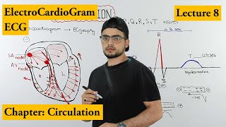 ECG Electrocardiogram fully explained  Chapter circulation  Video 8 [upl. by Shaefer537]