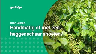 Hedera handmatig of met een heggenschaar snoeien klimop [upl. by Eugenie]