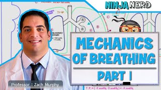 Respiratory  Mechanics of Breathing Pressure Changes  Part 1 [upl. by Etta679]