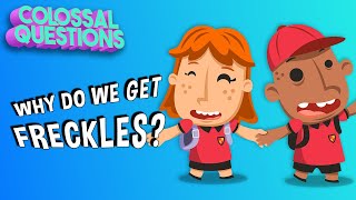 What Causes Freckles  COLOSSAL QUESTIONS [upl. by Anilra]