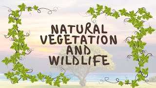 NATURAL VEGETATION AND WILDLIFE  CLASS 9  GEOGRAPHY  CHAPTER 5 [upl. by Allehcim]