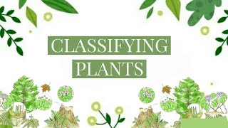 How are Plants classified  Science  Classification of Plants [upl. by Devol]