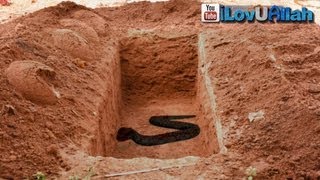 Snake In The Grave ᴴᴰ  True Story [upl. by Nala]