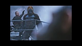 Red Donkey Saves Caesar  Death Scene  War for the Planet of the Apes 2017LOWI [upl. by Nibuz358]