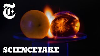 Why Microwaved Grapes Explode  ScienceTake [upl. by Tacye760]