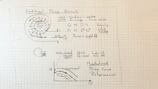 Centrifugal Pump Basics [upl. by Alael]